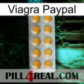 Viagra Paypal levitra1